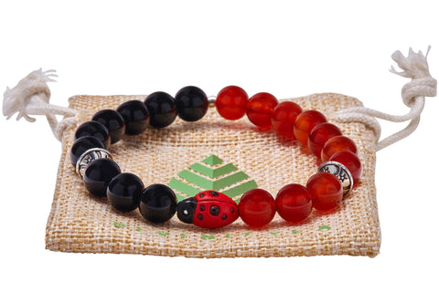 The Ladybug